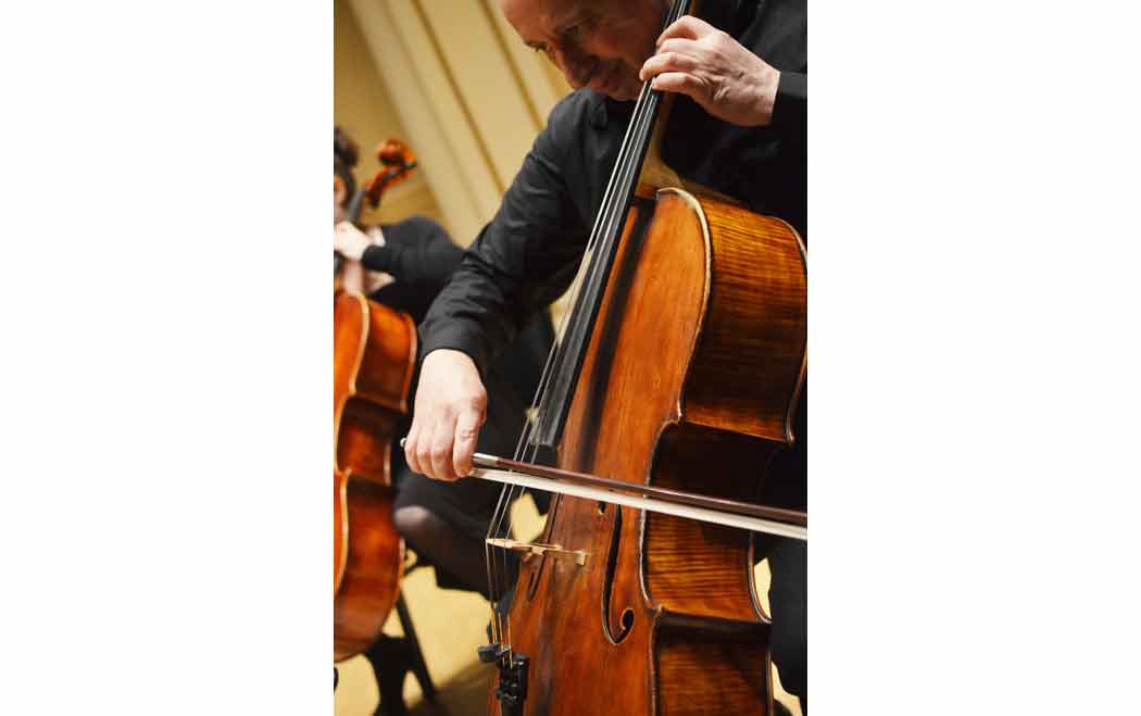 Classical cellist